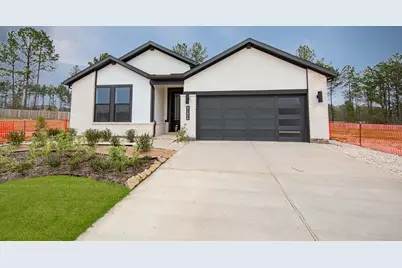 41406 Threadgill Way, Montgomery, TX 77316 - Photo 1