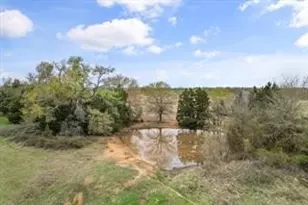 230 Freestone County Rd, Streetman, TX 75859 - Photo 32