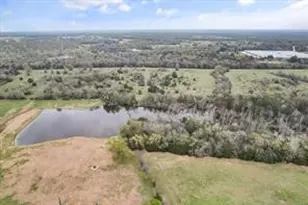 230 Freestone County Rd, Streetman, TX 75859 - Photo 38