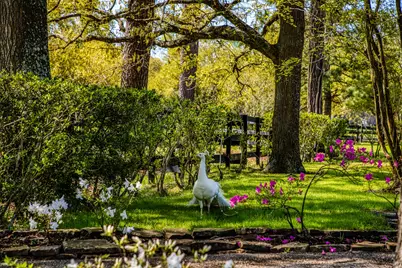 714 Superior Road, Magnolia, TX 77354 - Photo 36