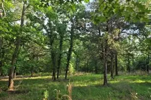 0 Timber Ridge, LaRue, TX 75770 - Photo 10
