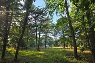 0 Timber Ridge, LaRue, TX 75770 - Photo 2