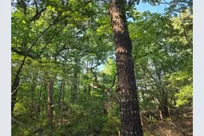0 Timber Ridge, LaRue, TX 75770 - Photo 14
