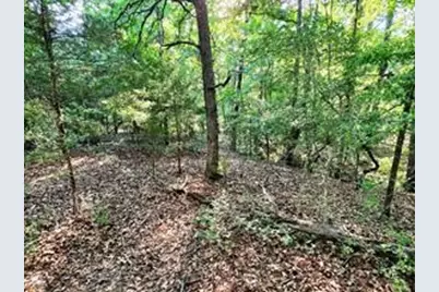 0 Timber Ridge, LaRue, TX 75770 - Photo 4