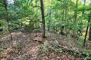 0 Timber Ridge, LaRue, TX 75770 - Photo 4