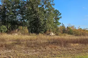 8026 Rd 5891, Cleveland, TX 77327 - Photo 1