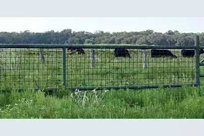 00 County Road 396, El Campo, TX 77437 - Photo 32