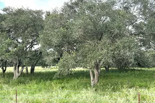 00 County Road 396, El Campo, TX 77437 - Photo 4