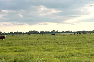 00 County Road 396, El Campo, TX 77437 - Photo 18