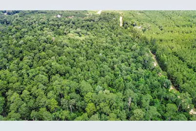 Tbd Capps Road, Livingston, TX 77351 - Photo 4