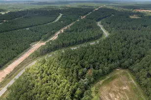 15427 Frst Grv Dr, Willis, TX 77378 - Photo 24