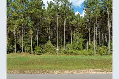 15427 Forest Grove Drive, Willis, TX 77378 - Photo 2