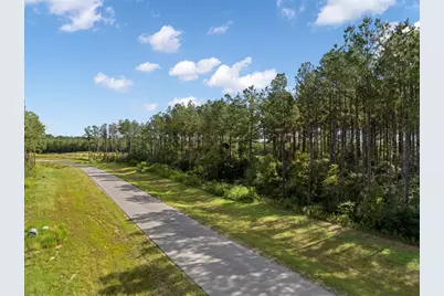 15427 Forest Grove Drive, Willis, TX 77378 - Photo 10