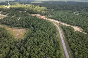 15427 Frst Grv Dr, Willis, TX 77378 - Photo 28