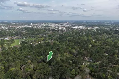 70 Cokeberry Court, The Woodlands, TX 77380 - Photo 14