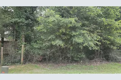 Lot 5 B55 Tawnyberry Lane, Plantersville, TX 77363 - Photo 14