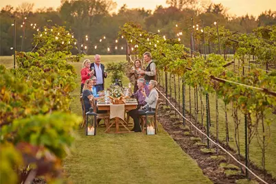 14114 Ripple Ridge Road Road, Willis, TX 77318 - Photo 4