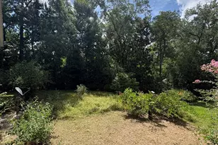 213 W Abbey St, Livingston, TX 77351 - Photo 34