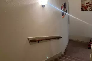 3419 Selene Dr, Missouri City, TX 77459 - Photo 26