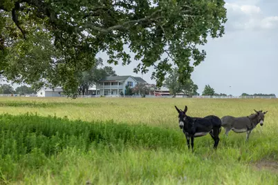 7344 N Fm 1291, Fayetteville, TX 78940 - Photo 24