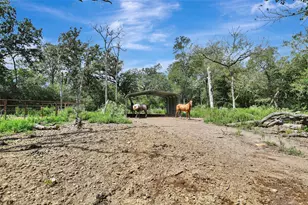 25765 Tyler Park, Bedias, TX 77831 - Photo 34