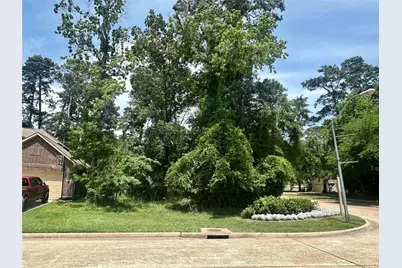 11302 Twain Drive, Montgomery, TX 77356 - Photo 2