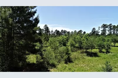 9490 S State Highway 19, Lovelady, TX 75851 - Photo 8