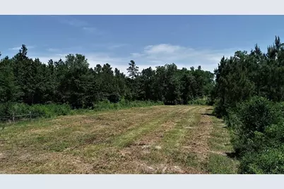 9490 S State Highway 19, Lovelady, TX 75851 - Photo 14