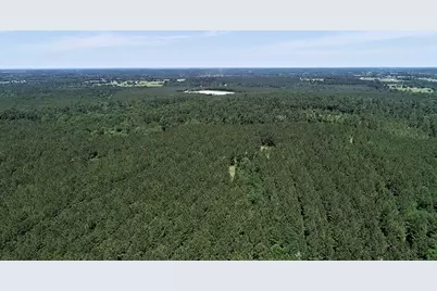 9490 S State Highway 19, Lovelady, TX 75851 - Photo 6