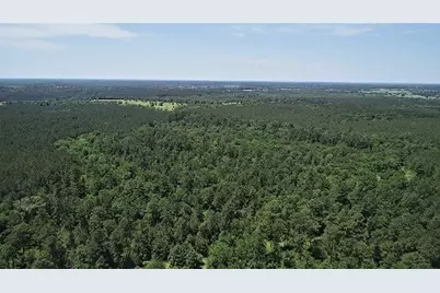 9490 S State Highway 19, Lovelady, TX 75851 - Photo 10