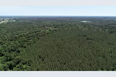 9490 S State Highway 19, Lovelady, TX 75851 - Photo 20