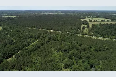 9490 S State Highway 19, Lovelady, TX 75851 - Photo 22