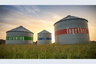 3015 Tulip Terrace Trail, Richmond, TX 77406 - Photo 6