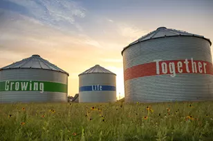 3015 Tulip Terrace Trail, Richmond, TX 77406 - Photo 6