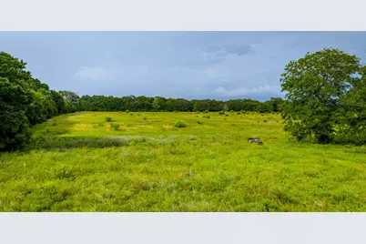 7101 Boehnemann Road, Brenham, TX 77833 - Photo 32