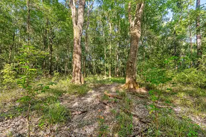 12626 Highway 105, Cleveland, TX 77327 - Photo 32