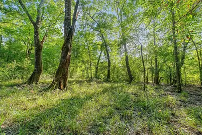 12626 Highway 105, Cleveland, TX 77327 - Photo 36