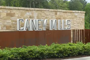 9547 Caney Trails Rd, Conroe, TX 77303 - Photo 2