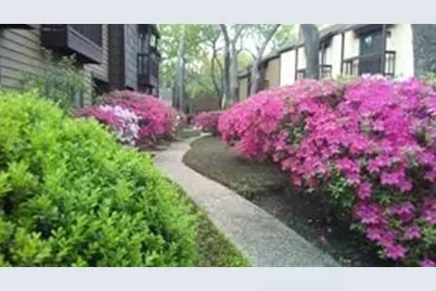 11711 Memorial Drive #570, Houston, TX 77024 - Photo 16