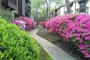 11711 Memorial Dr, Houston, TX 77024 - Photo 16