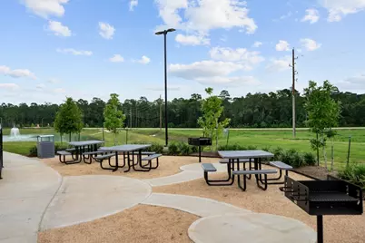 24239 Dewey Trail, Magnolia, TX 77355 - Photo 10