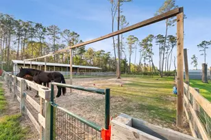 10202 Woodlane Blvd, Magnolia, TX 77354 - Photo 48