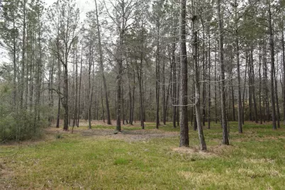 309 Exploration Road, Willis, TX 77378 - Photo 2
