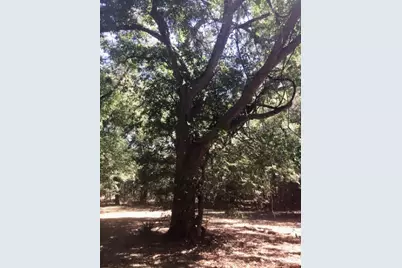 8844 Whiddon Road S, Chappell Hill, TX 77426 - Photo 22