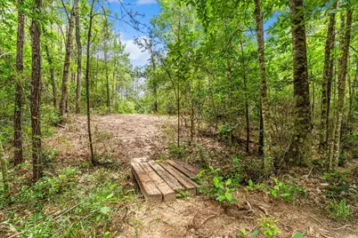 341 Big Buck Drive, Cleveland, TX 77328 - Photo 48