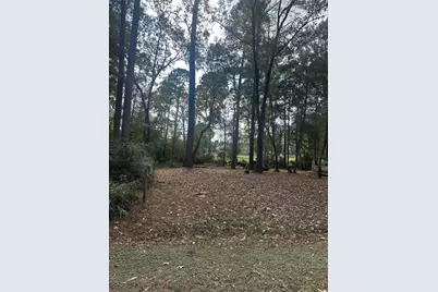 376 Nueces Drive, Trinity, TX 75862 - Photo 4