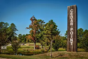 745 & 751 Dove Island, Livingston, TX 77351 - Photo 1