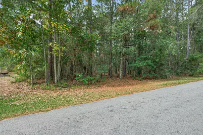 Lot 453 North Woods, Cleveland, TX 77328 - Photo 10