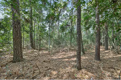 Lot 453 North Woods, Cleveland, TX 77328 - Photo 2