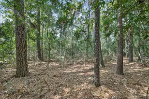 Lot 453 North Woods, Cleveland, TX 77328 - Photo 2